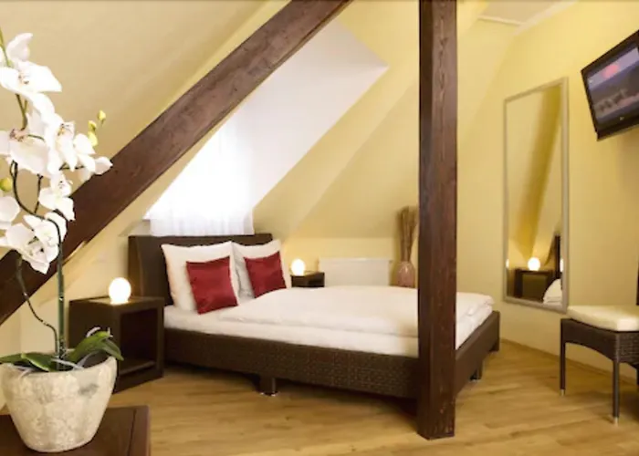 Guesthouse Heidelberg 3* Heidelberg